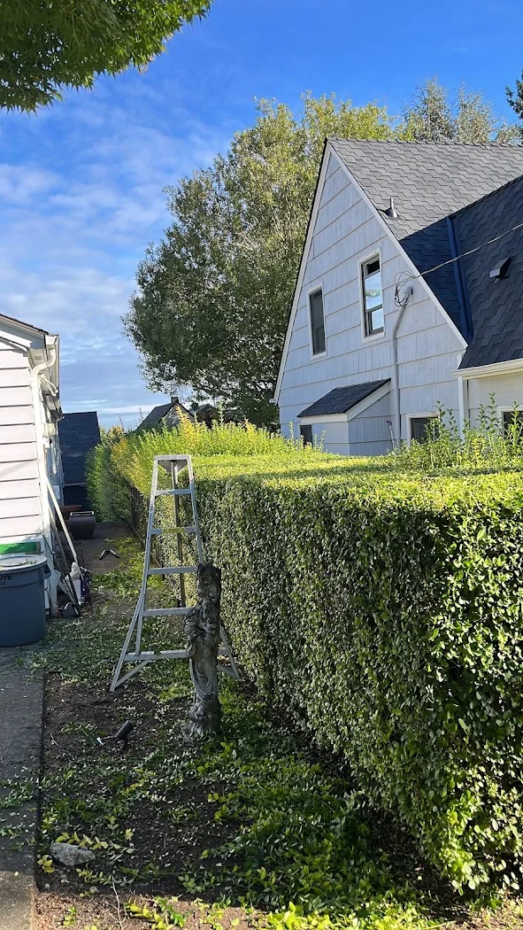 Photo from Landscaping Eternal Spring's Google Business Profile